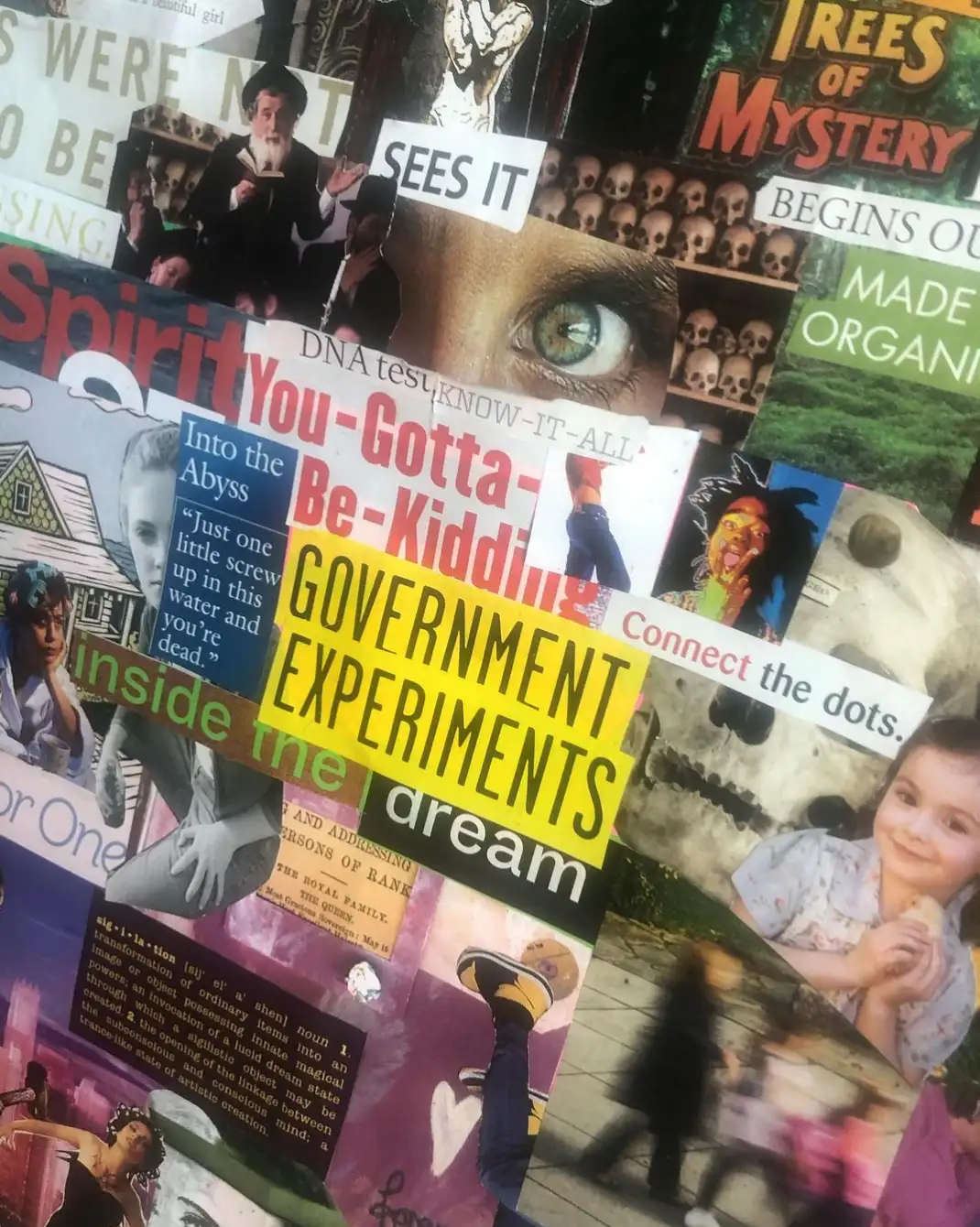 Collage with the phrases “Government experiments”, “Trees of mystery” and “Connect the dots.”
