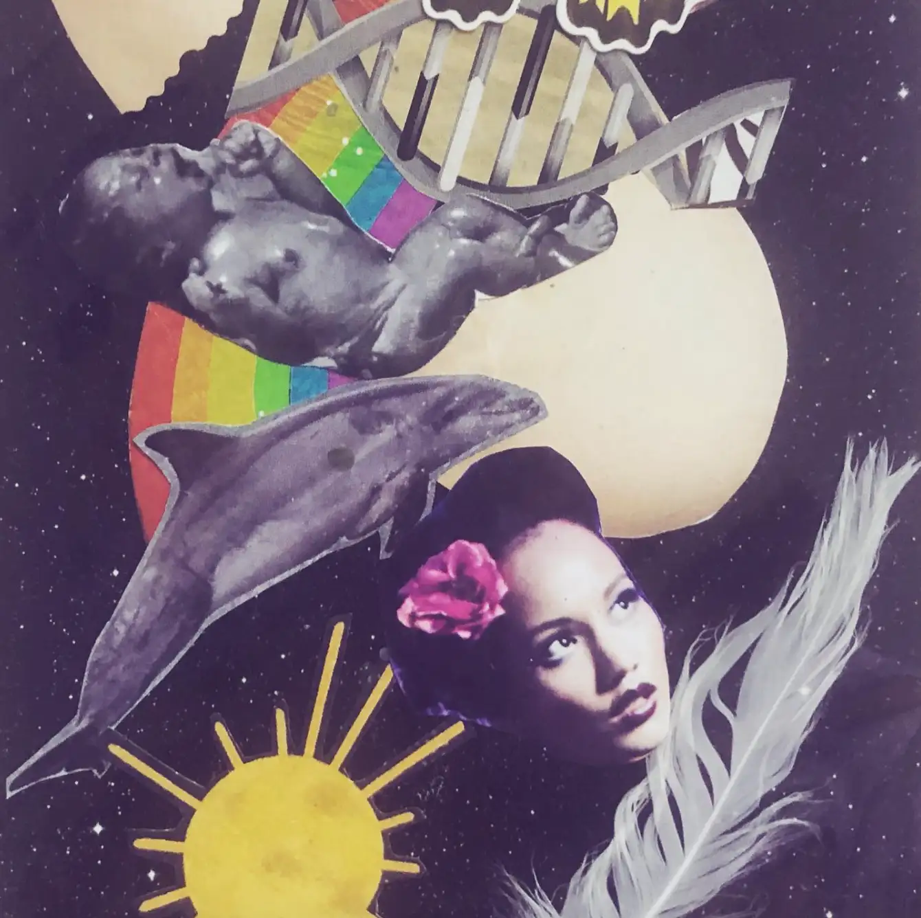 Collage on a purple night sky with a dolphin, a sun, a rainbow and a woman with a flower in her hair.