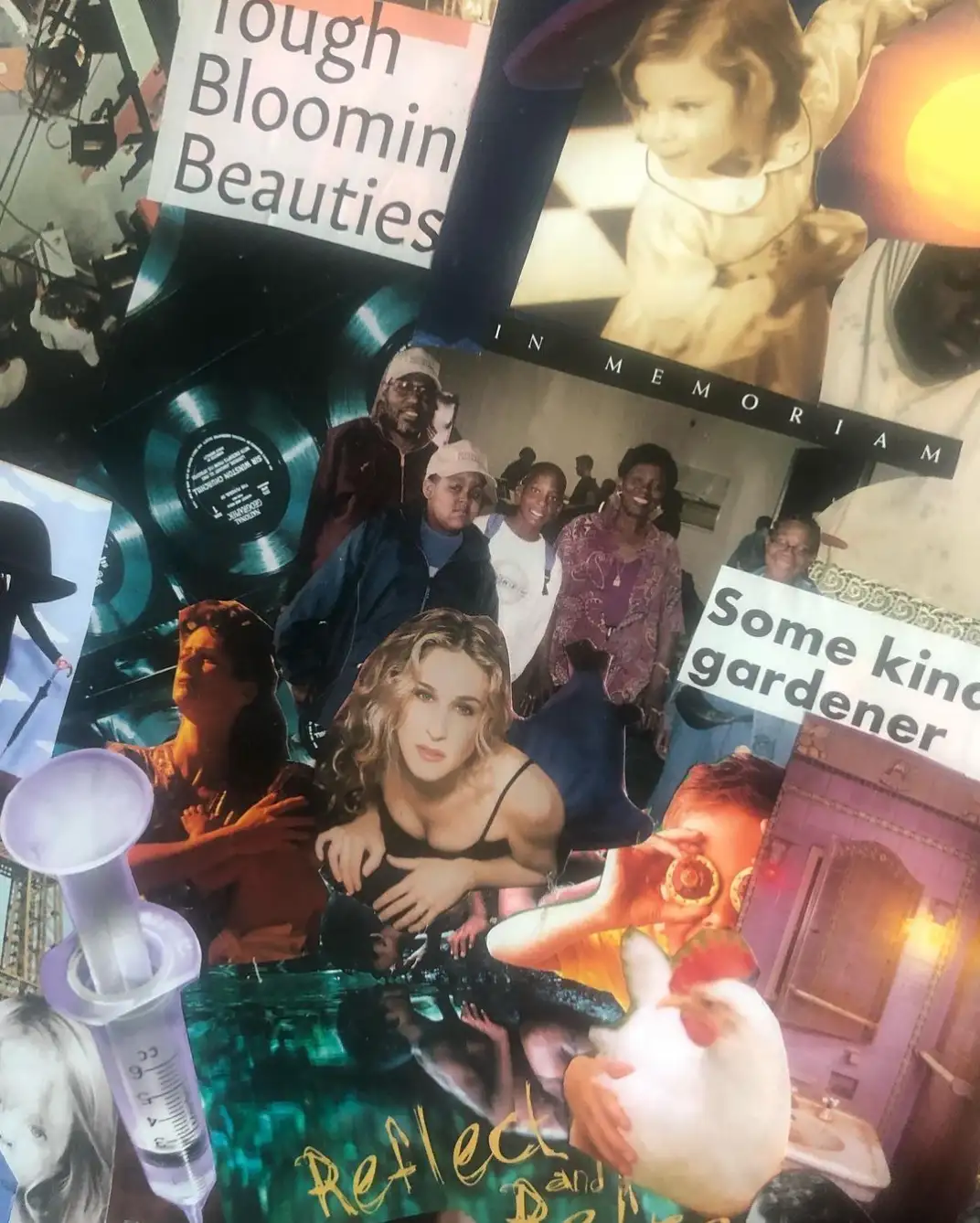 Collage with the phrases “Tough blooming beauties” and “Some kind of gardener.”
